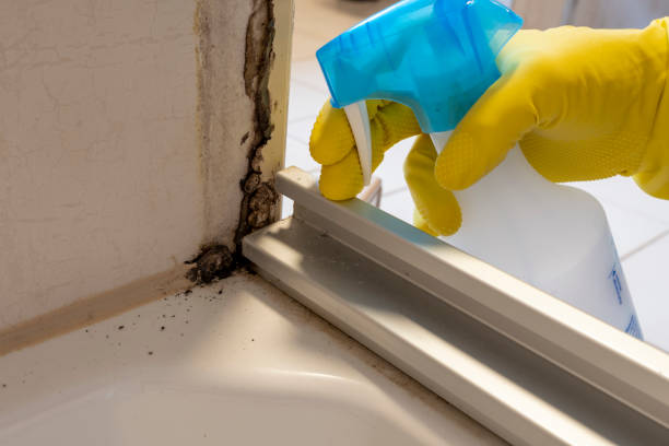 Best Crawl Space Mold Removal  in Warren, OH