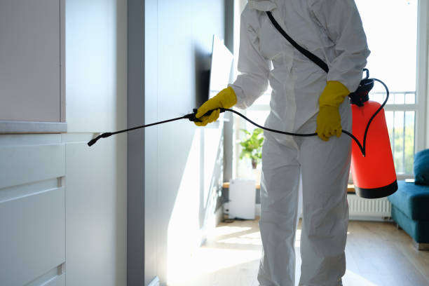 Best Toxic Mold Removal  in Warren, OH